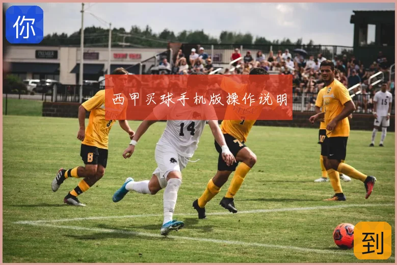 西甲买球手机版操作说明